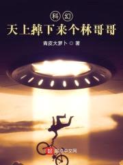 科幻，天上掉下来个林哥哥封面
