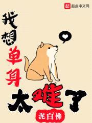 我想单身太难了封面