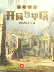 全球领主：开局瞭望塔封面