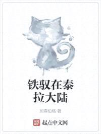 铁驭在泰拉大陆封面