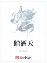 踏酒天封面