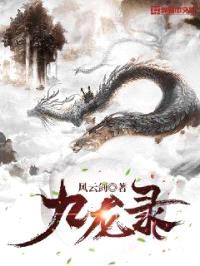 九龙录封面