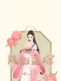 凤影迷踪封面