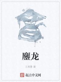 鏖龙封面