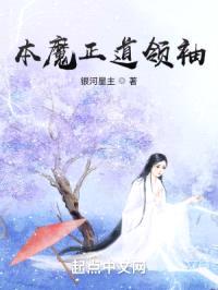 本魔正道领袖封面