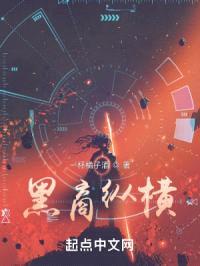 黑商纵横封面