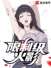 日光木叶封面