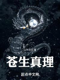 承天之传封面