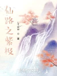 仙路之紫极封面