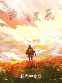古陨星辰封面