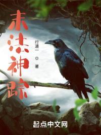 末法神踪封面