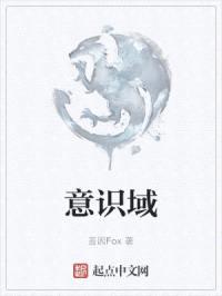 意识域封面