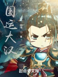气运大汉封面
