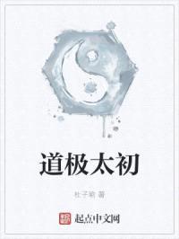 道极太初封面