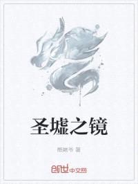 圣墟之镜封面