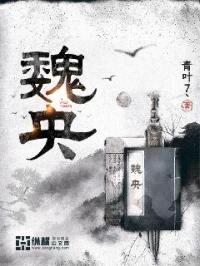 魏央封面