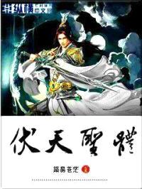 伏天圣体封面