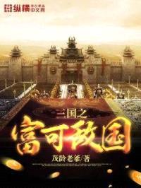 三国之富可敌国封面