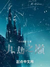 九劫之巅封面
