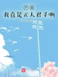 不是，我真是正人君子啊封面