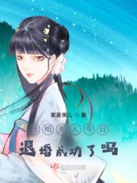 丞相夫人今日退婚成功了吗？封面