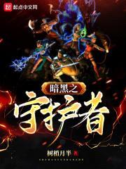 暗黑破坏神之守护者封面