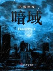 暗域之内封面