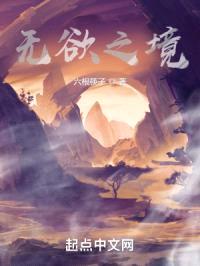 无欲之境封面