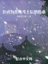 在成为龙珠斗士后的传承封面