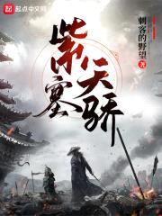 紫塞天骄封面