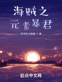 海贼之元素暴君封面