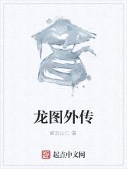 龙图外传封面