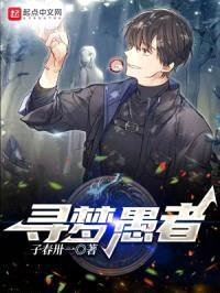 寻梦愚者封面