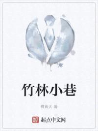 竹林小巷封面