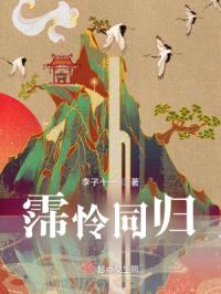 霈怜同归封面