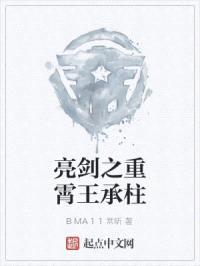 亮剑之重霄王承柱封面