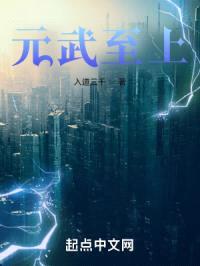 战至终章封面