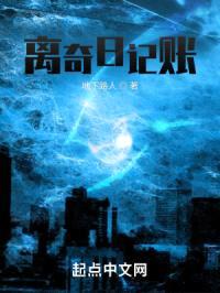 离奇日记账封面