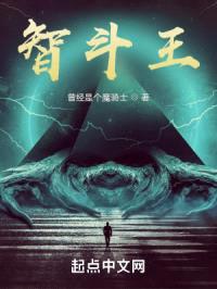 智斗王封面