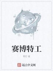 这特工不做也罢封面