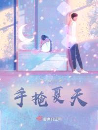 手掩夏天封面