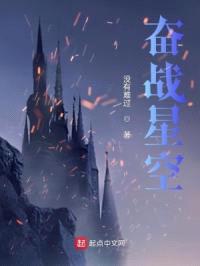 奋战星空封面