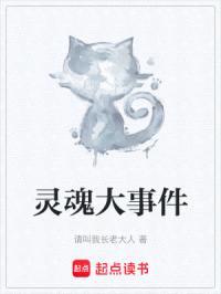 灵魂大事件封面