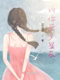 许你景夕星辰封面