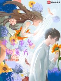 那年半岛的夏天封面