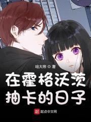 在霍格沃茨抽卡的日子封面