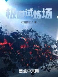 极道试炼场封面