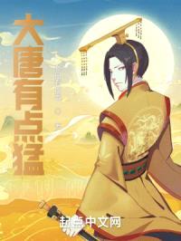 大唐有点猛封面