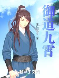 御道九霄封面