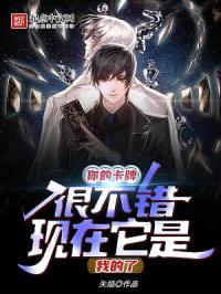 你的卡牌很不错，现在它是我的了封面